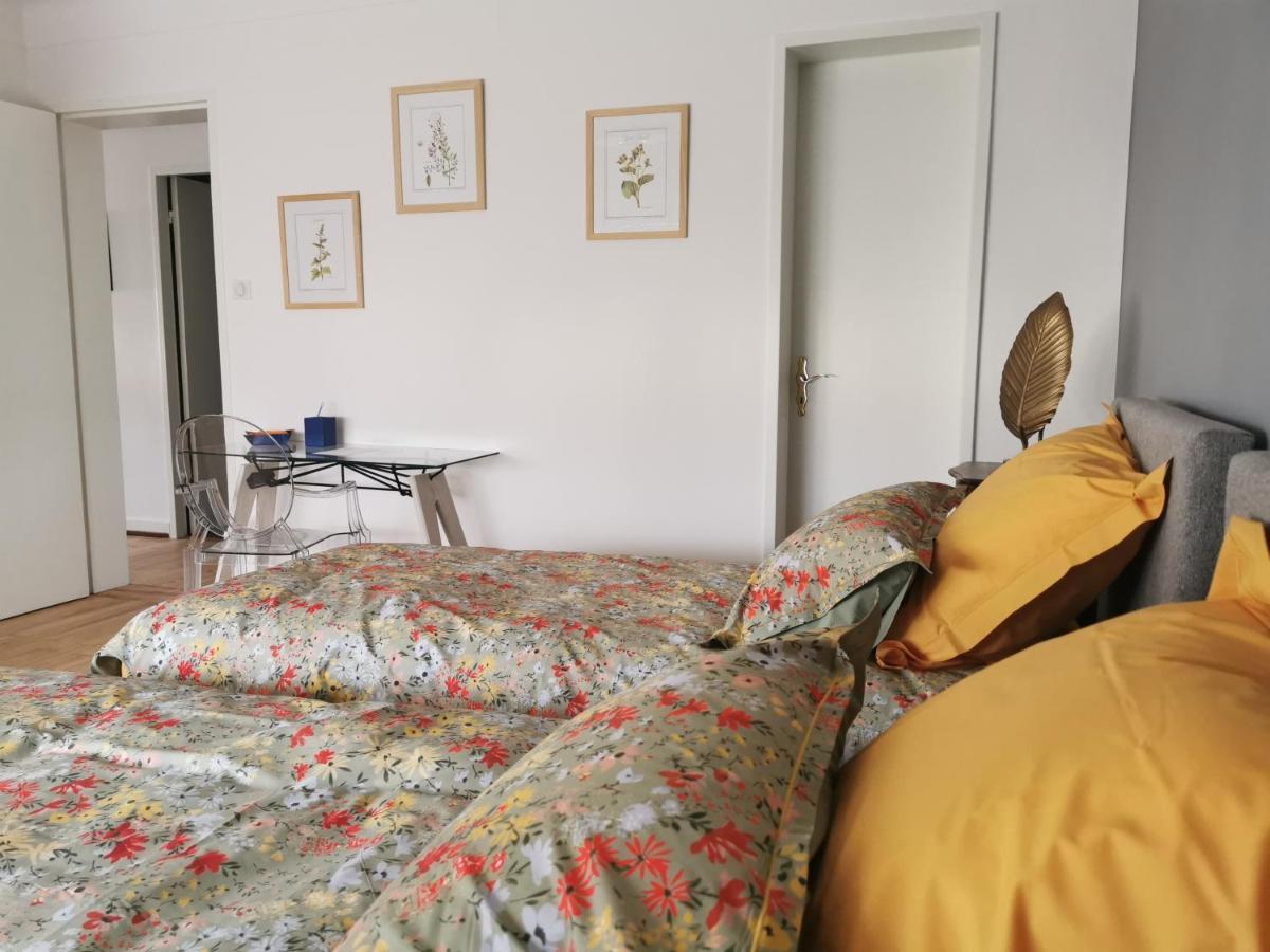 La Maison de Lucie Sélestat Extérieur photo